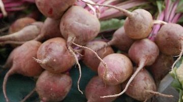 Las remolachas son una buena fuente de nutrientes importantes.