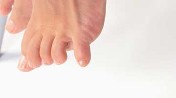 ¿Cuáles son las funciones de los ligamentos, tendones y cartílagos?